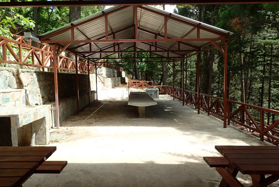 «Διαδρομές χωρίς αποκλεισμούς» – Το Τμήμα Δασών πρωτοπορεί σε έργα προσβασιμότητας