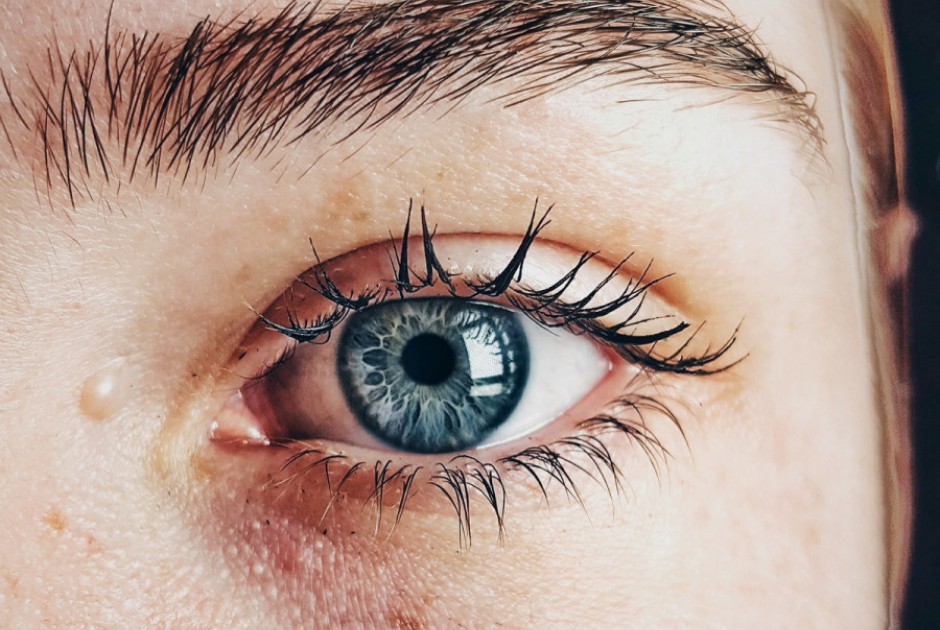 Η επιστήμη μίλησε: Δέκα τροφές για τα μάτια μας μόνο