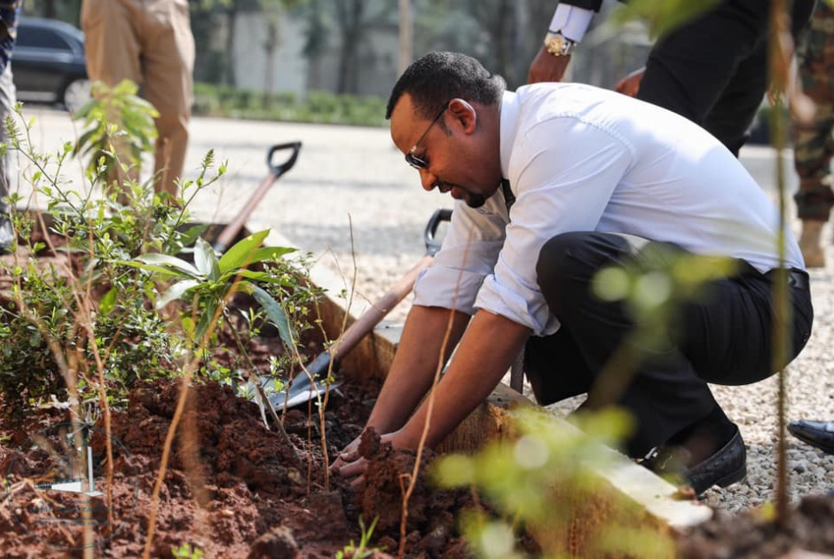 Αυτή είναι η χώρα που φύτεψε 350 εκατομμύρια δέντρα σε μια μόνο μέρα