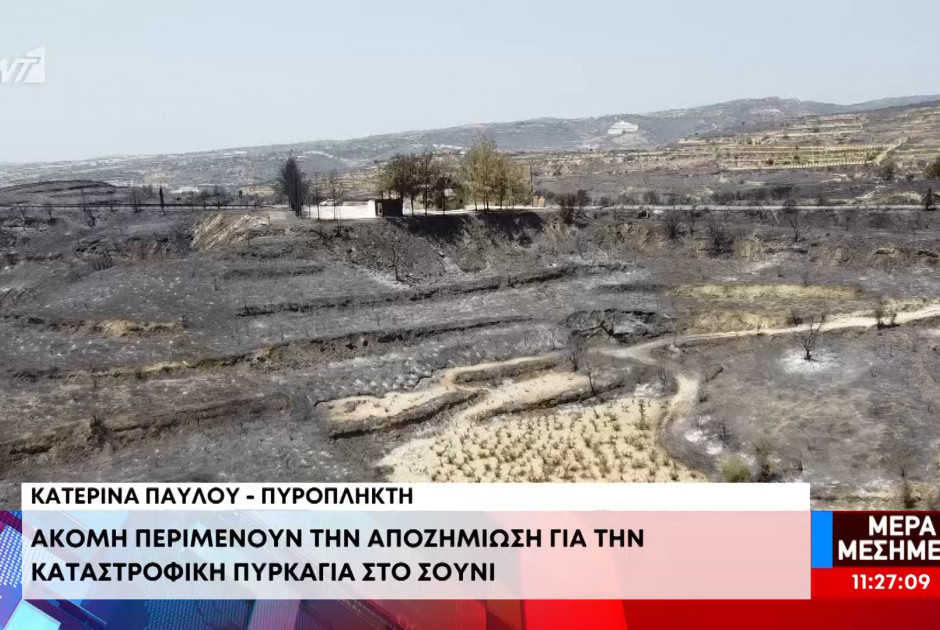 Πυρόπληκτη για πυρκαγιά στο Σούνι – «Φτάσαμε Νοέμβρη και το κράτος λέει ότι δεν είμαστε δικαιούχοι»