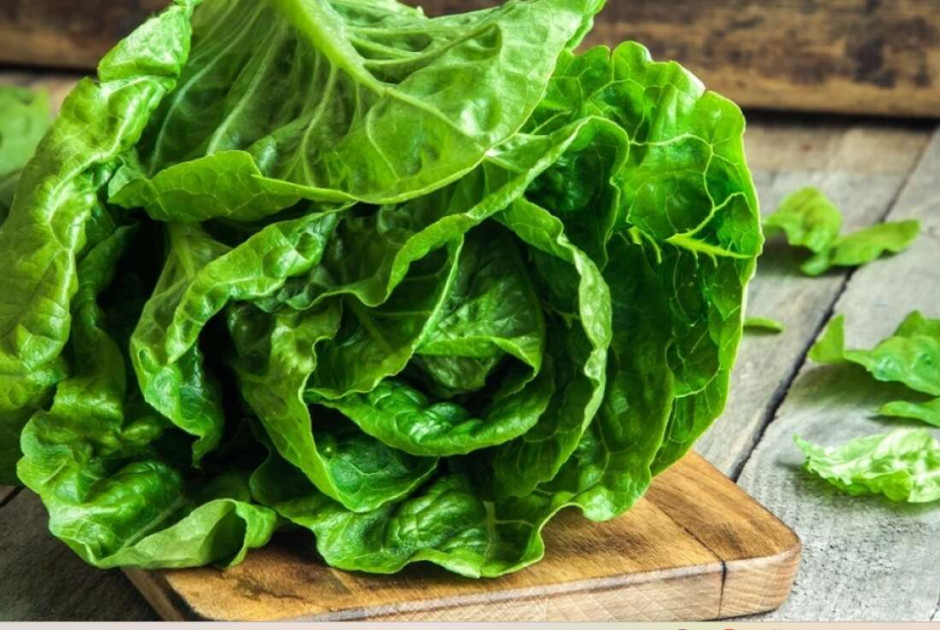 Ναρκωτικά βρέθηκαν σε... μαρούλια στα σύνορα ΗΠΑ - Μεξικού