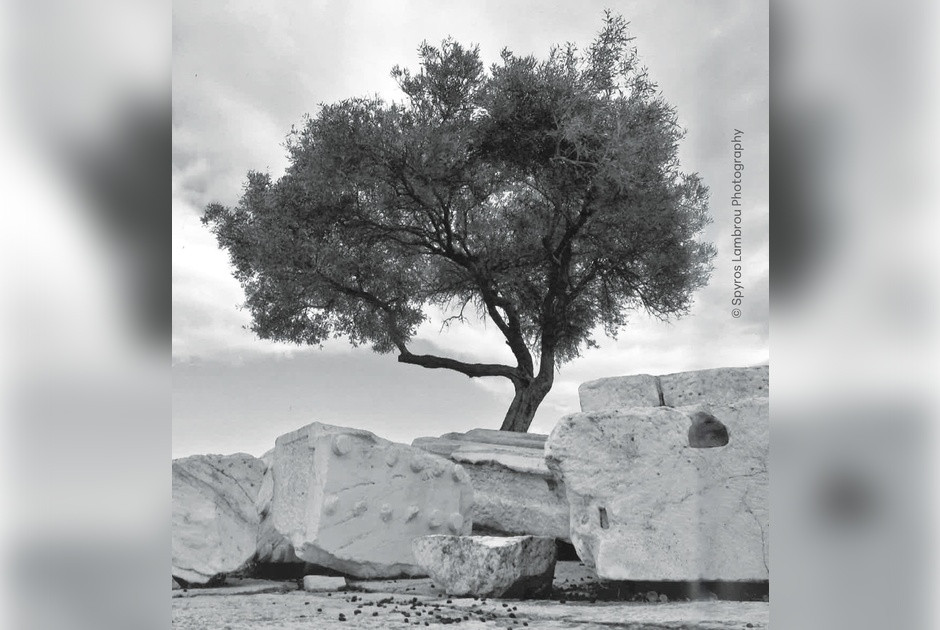 34η Ετήσια Διάλεξη εις μνήμην Κωνσταντίνου Λεβέντη