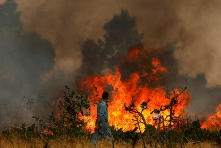 Ιαπωνία: Μαίνεται θηριώδης πυρκαγιά -  Ένας αγνοούμενος και 170 κατεστραμμένα σπίτια