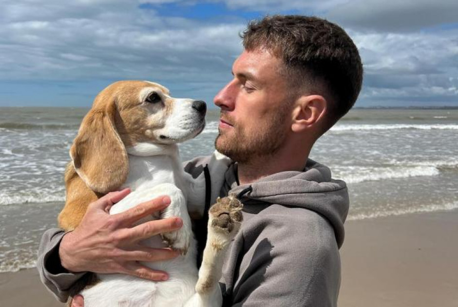 Το δράμα του Ράμσεϊ στο Μεξικό: Έχασε τον σκύλο του και τελικά έλυσε το συμβόλαιό του με την Πούμας