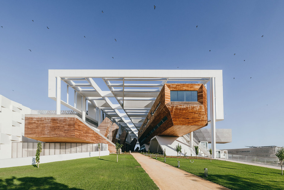 Νέα διεθνής ακαδημαϊκή διάκριση για Καθηγήτρια του Πανεπιστημίου Κύπρου