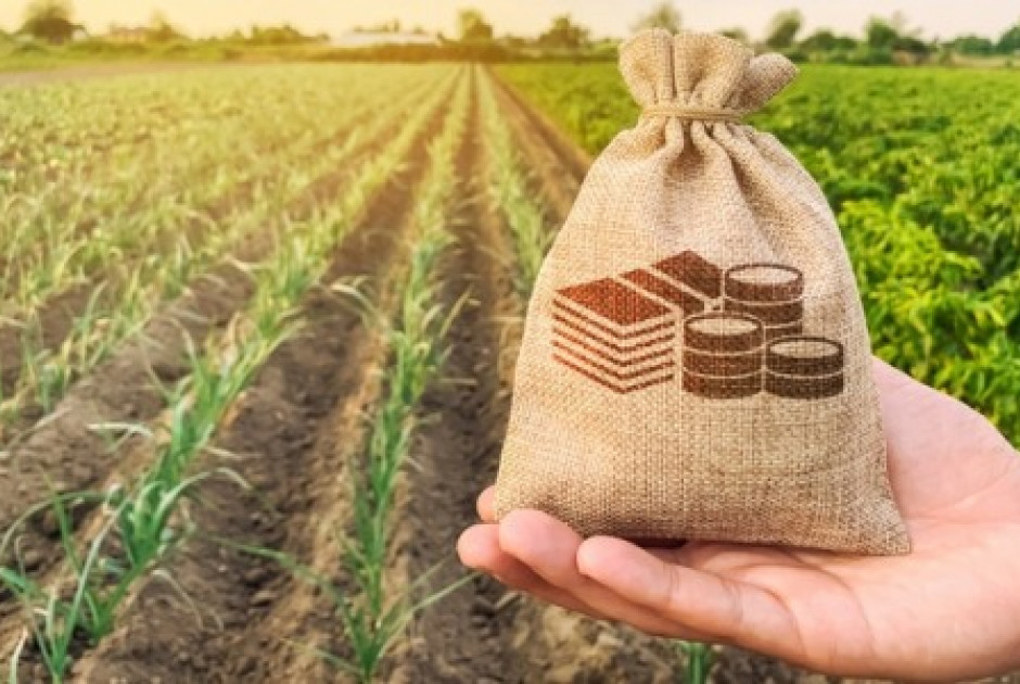 ΚΟΑΠ: Σε €138.700.000 ανήλθαν οι επιδοτήσεις που κατέβαλε το 2025