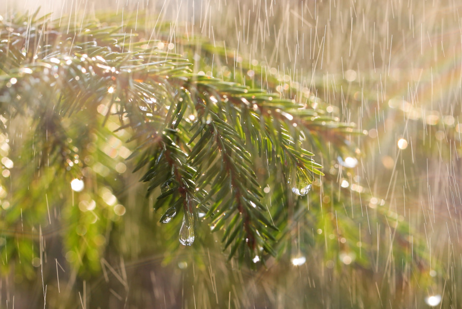 Ευεργετικές βροχές πέφτουν σε όλη την Κύπρο (Βίντεο)