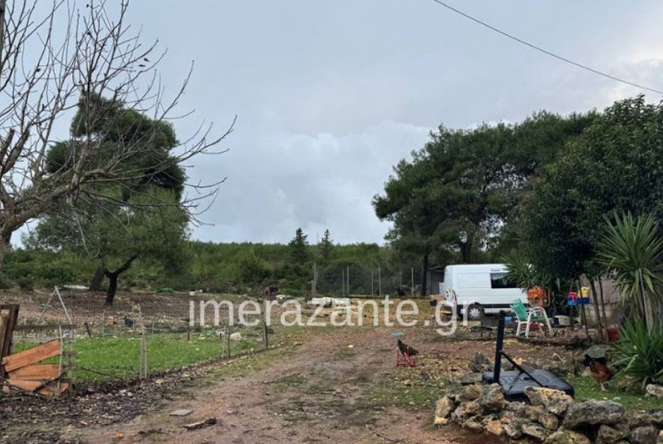 Τραγωδία με 2χρονο στη Ζάκυνθο: Αδέσποτος ο σκύλος – Τον φιλοξενούσε η οικογένεια μέχρι να υιοθετηθε