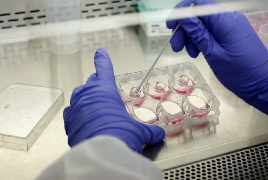 Οι κορυφαίες ιατρικές έρευνες του 2025