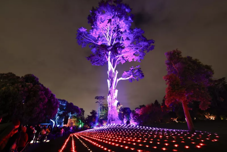 Χριστουγεννιάτικο σκηνικό βγαλμένο από παραμύθι στο Σαν Φρανσίσκο