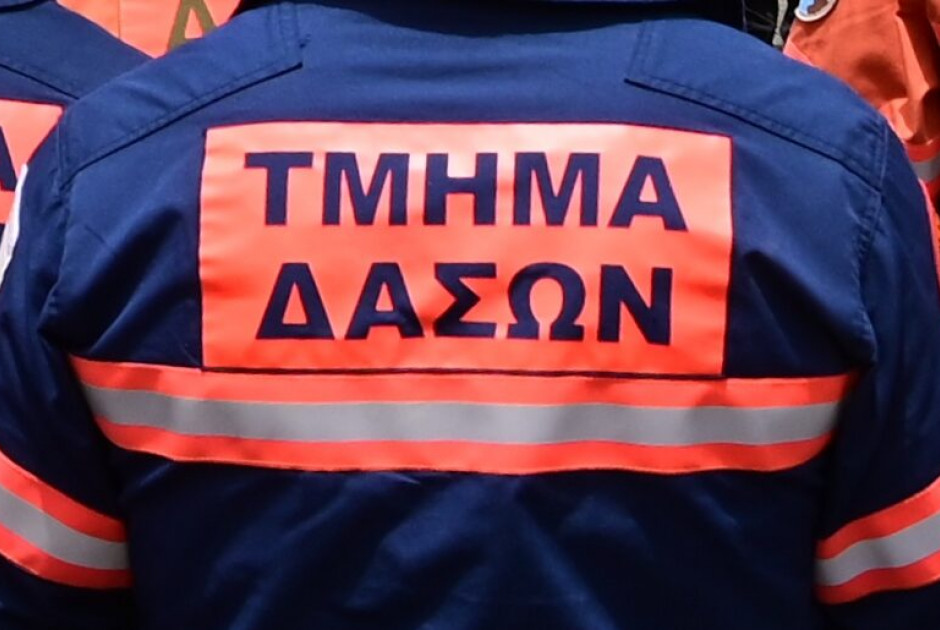 Έκτακτη σύσκεψη για τις λαθροθηρίες με πρωταγωνιστές υπαλλήλους του Τμήματος Δασών (ΒΙΝΤΕΟ)