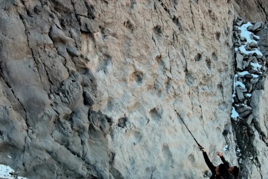 Απίστευτη ανακάλυψη στην Ιταλία: Φωτογράφος εντόπισε κατά τύχη 20.000 αποτυπώματα δεινοσαύρων 210 εκατ. ετών