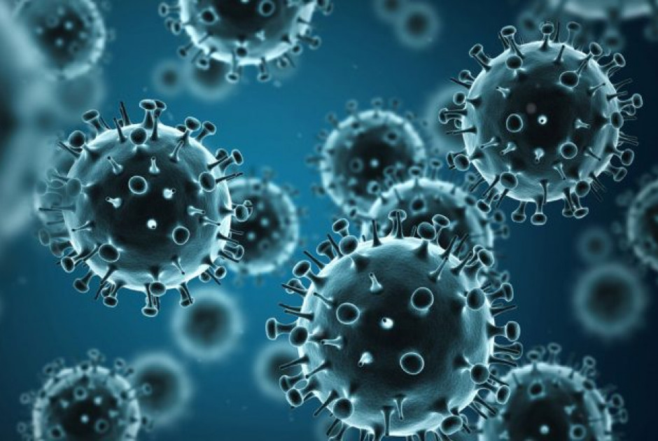 Επτά θανάτοι από γρίπη: «Επαρκώς προετοιμασμένη η κρατική μηχανή» (ΒΙΝΤΕΟ)