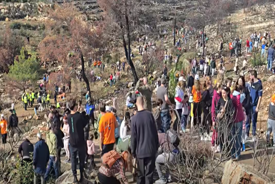 &Pi;&upsilon;&rho;ό&pi;&lambda;&eta;&kappa;&tau;&epsilon;&sigmaf; &pi;&epsilon;&rho;&iota;&omicron;&chi;έ&sigmaf;: &Pi;&lambda;ή&theta;&omicron;&sigmaf; &kappa;ό&sigma;&mu;&omicron;&upsilon; &phi;ύ&tau;&epsilon;&psi;&epsilon; 3000 &delta;&epsilon;&nu;&delta;&rho;ύ&lambda;&lambda;&iota;&alpha; &mu;έ&sigma;&alpha; &sigma;&epsilon; &mu;&iota;&alpha; ώ&rho;&alpha; (&Beta;&Iota;&Nu;&Tau;&Epsilon;&Omicron;)