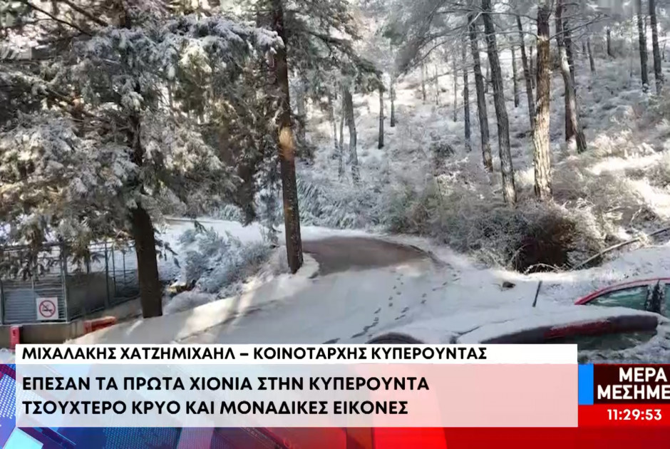 Έπεσαν τα πρώτα χιόνια στην Κυπερούντα - «Θαυμάσιο το τοπίο» (ΒΙΝΤΕΟ)