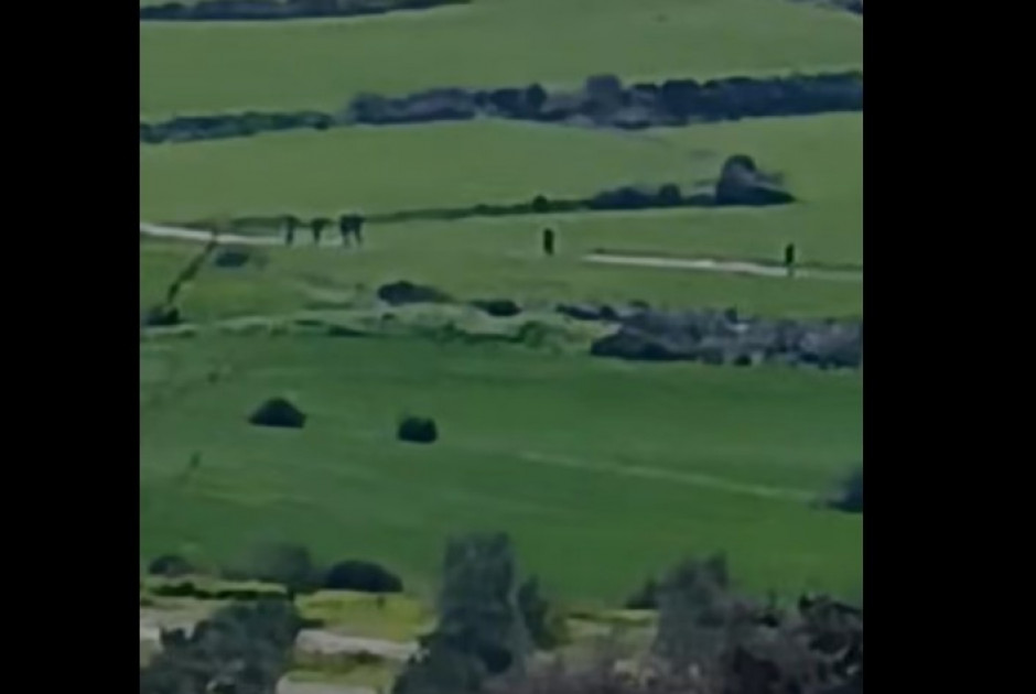 Ομάδα λαθρομεταναστών εντοπίστηκε στην Αθηένου - Ενήμερη η Αστυνομία (ΒΙΝΤΕΟ)