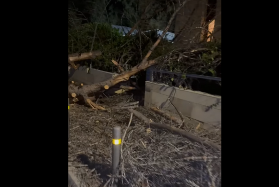 Οι άνεμοι προκάλεσαν σωρεία προβλημάτων – Πτώσεις δέντρων και αντικειμένων, αποκοπές καλωδίων (ΒΙΝΤΕ
