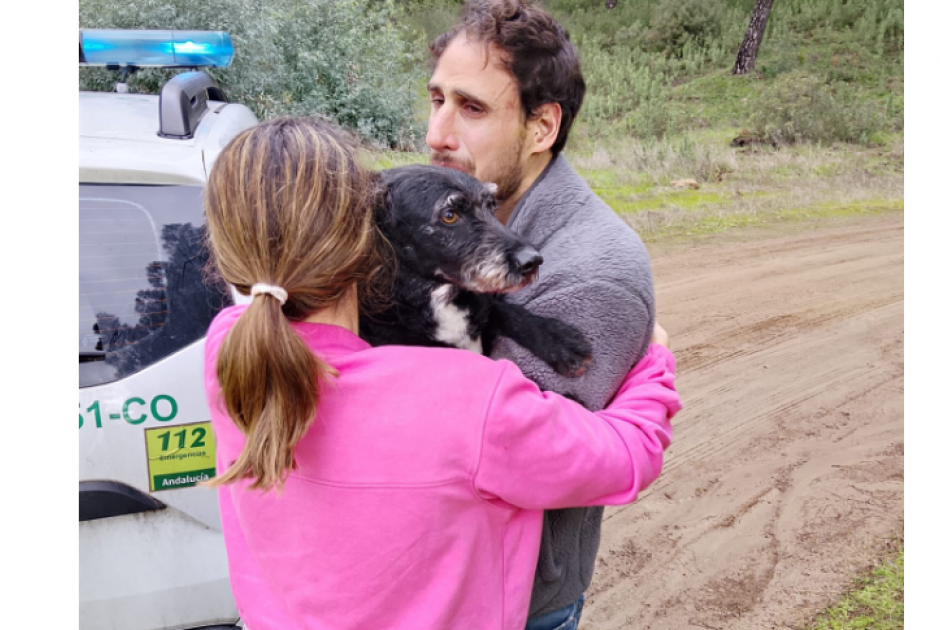 Ισπανία: Σκύλος που αγνοούνταν μετά τη σιδηροδρομική τραγωδία διασώθηκε έπειτα από τέσσερις μέρες