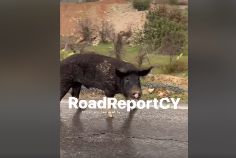 &Chi;&omicron;ί&rho;&omicron;&sigmaf; έ&pi;&iota;&alpha;&sigma;&epsilon; &tau;&omicron;&upsilon;&sigmaf; &delta;&rho;ό&mu;&omicron;&upsilon;&sigmaf; - &Epsilon;&kappa;&iota;&nu;&epsilon;ί&tau;&omicron; ή&rho;&epsilon;&mu;&alpha;... &alpha;&lambda;&lambda;ά &mu;&epsilon; &gamma;&omicron;&rho;&gamma;&omicron;ύ&sigmaf; &rho;&upsilon;&theta;&mu;&omicron;ύ&sigmaf; (&Beta;&Iota;&Nu;&Tau;&Epsilon;&Omicron;)