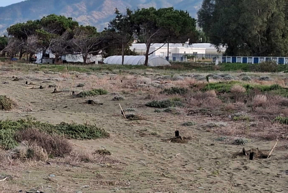 Δενδροφύτευση στο Παραλιακό Δάσος Γιαλιάς