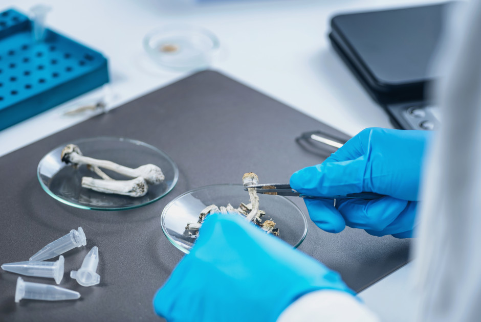 Σχεδόν 900 κιλά ναρκωτικών στα χέρια της ΥΚΑΝ το 2025 – Ο Β. Βύρωνος στο «Μέρα Μεσημέρι»