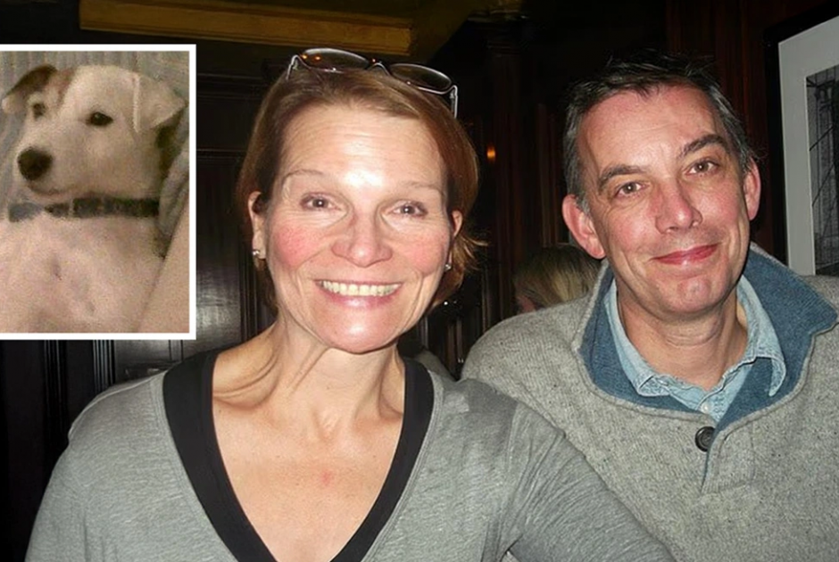 Βρετανία: Γυναίκα μαχαίρωσε τον πρώην σύζυγό της επειδή έκανε ευθανασία στα σκυλιά τους