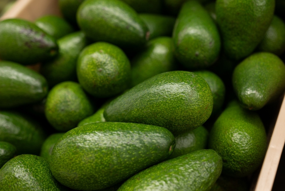 &Pi;&rho;&omicron;&sigma;&omicron;&chi;ή: &Epsilon;&pi;&iota;&kappa;ί&nu;&delta;&upsilon;&nu;&alpha; &alpha;&beta;&omicron;&kappa;ά&nu;&tau;&omicron; &sigma;&tau;&iota;&sigmaf; &epsilon;&upsilon;&rho;&omega;&pi;&alpha;ϊ&kappa;έ&sigmaf; &alpha;&gamma;&omicron;&rho;έ&sigmaf;