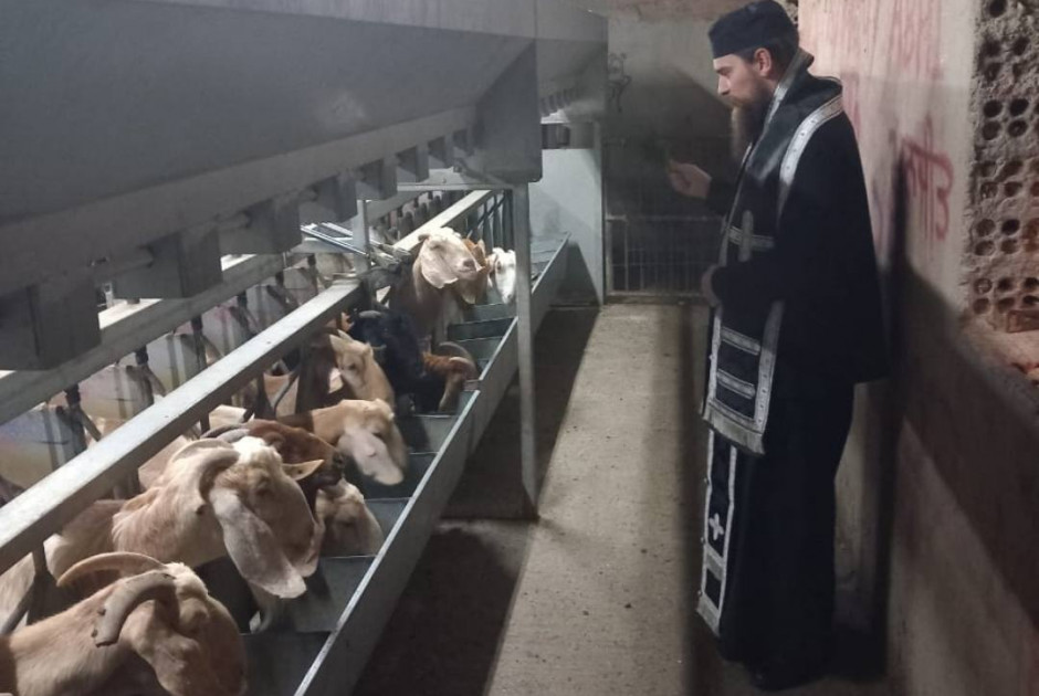 &Eta; &Epsilon;&kappa;&kappa;&lambda;&eta;&sigma;ί&alpha; &delta;&epsilon;&nu; &epsilon;&pi;&iota;&zeta;&eta;&tau;&epsilon;ί &epsilon;&nu;&tau;&upsilon;&pi;ώ&sigma;&epsilon;&iota;&sigmaf; - &Delta;&iota;&epsilon;&upsilon;&kappa;&rho;&iota;&nu;ί&zeta;&epsilon;&iota; &eta; &Mu;&eta;&tau;&rho;ό&pi;&omicron;&lambda;&eta; &Kappa;&iota;&tau;ί&omicron;&upsilon; &gamma;&iota;&alpha; &tau;&eta;&nu; &epsilon;&pi;ί&sigma;&kappa;&epsilon;&psi;&eta; &sigma;&epsilon; &kappa;&tau;&eta;&nu;&omicron;&tau;&rho;&omicron;&phi;&iota;&kappa;