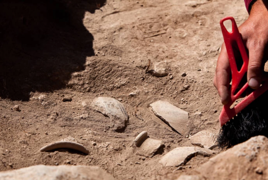 &Omicron;&sigma;&tau;ά &pi;έ&rho;&alpha;&nu; &tau;&omega;&nu; 8.000 &epsilon;&tau;ώ&nu; &alpha;&nu;&alpha;&kappa;ά&lambda;&upsilon;&psi;&alpha;&nu; &sigma;&tau;&eta;&nu; &Delta;&rho;&omicron;ύ&sigma;&epsilon;&iota;&alpha;