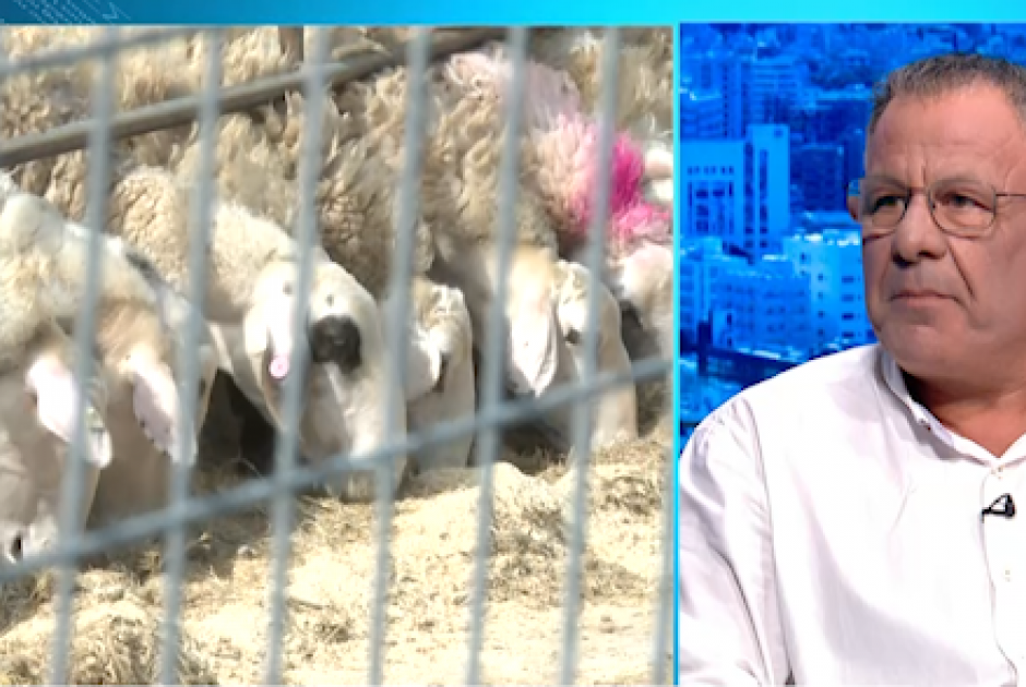 &Alpha;&iota;&gamma;&omicron;&pi;&rho;&omicron;&beta;&alpha;&tau;&omicron;&tau;&rho;ό&phi;&omicron;&sigmaf; &sigma;&tau;&omicron;&nu; &Alpha;&Nu;&Tau;1: &laquo;&Chi;&rho;&epsilon;&iota;&alpha;&zeta;ό&mu;&alpha;&sigma;&tau;&epsilon; &psi;&upsilon;&chi;&omicron;&lambda;ό&gamma;&omicron;&upsilon;&sigmaf; &alpha;&upsilon;&tau;ή &tau;&eta; &sigma;&tau;&iota;&gamma;&mu;ή &ndash; &Chi;ά&nu;&omicron;&upsilon;&mu;&epsilon; &tau;&omicron;&nu; &beta;ί&omicron; &mu;&alpha;&sigmaf;&raquo; (&Beta;&Iota;&Nu;&Tau;&Epsilon;&Omicron;)