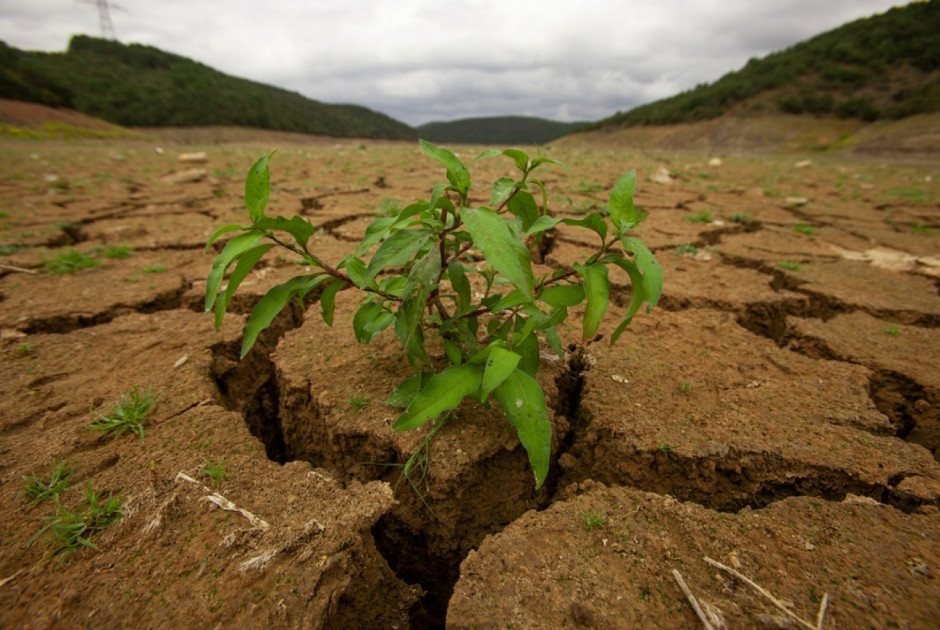 &Tau;&omicron;&upsilon;&rho;&kappa;ί&alpha;: &Kappa;ί&nu;&delta;&upsilon;&nu;&omicron;&sigmaf; &epsilon;&pi;&iota;&sigma;&iota;&tau;&iota;&sigma;&tau;&iota;&kappa;ή&sigmaf; &kappa;&rho;ί&sigma;&eta;&sigmaf; &lambda;ό&gamma;&omega; &xi;&eta;&rho;&alpha;&sigma;ί&alpha;&sigmaf;