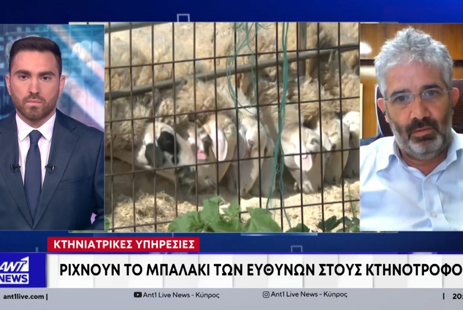 &Alpha;&pi;&alpha;&nu;&tau;ά &sigma;&tau;&omicron;&upsilon;&sigmaf; &kappa;&tau;&eta;&nu;&omicron;&tau;&rho;ό&phi;&omicron;&upsilon;&sigmaf; &omicron; &Pi;ί&pi;&eta;&sigmaf;: &laquo;&Nu;&alpha; &alpha;&nu;&alpha;&lambda;&omicron;&gamma;&iota;&sigma;&tau;&omicron;ύ&nu; &tau;&iota;&sigmaf; &epsilon;&upsilon;&theta;ύ&nu;&epsilon;&sigmaf; &tau;&omicron;&upsilon;&sigmaf;, &kappa;&alpha;&iota; ό&chi;&iota; &nu;&alpha; &kappa;&alpha;&tau;&eta;&gamma;&omicron;&rho;&omicron;ύ&nu; &tau;&eta;&nu; &upsilon;&pi;&eta;&rho;