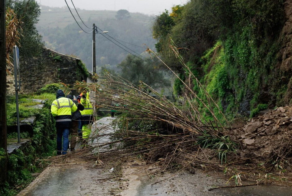 &Pi;&omicron;&rho;&tau;&omicron;&gamma;&alpha;&lambda;ί&alpha;: &Nu;έ&alpha; &kappa;&alpha;&kappa;&omicron;&kappa;&alpha;&iota;&rho;ί&alpha; &theta;&alpha; &chi;&tau;&upsilon;&pi;ά &tau;&eta; &chi;ώ&rho;&alpha;