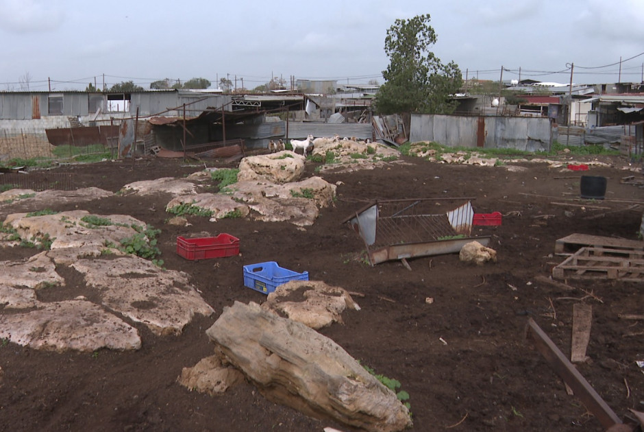 Αγέλη σκύλων κατασπάραξε ζώα σε φάρμα στο Γέρι (ΒΙΝΤΕΟ)