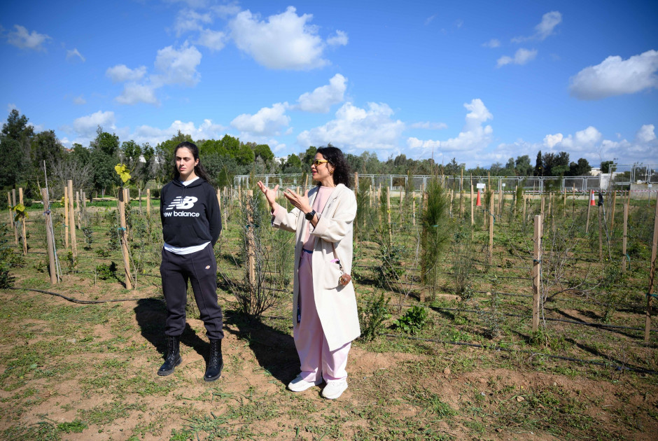 &Tau;&omicron; &pi;&rho;ώ&tau;&omicron; Tiny Forest &sigma;&tau;&eta;&nu; &Kappa;ύ&pi;&rho;&omicron; &alpha;&nu;&omicron;ί&gamma;&epsilon;&iota; &tau;&omicron;&nu; &delta;&rho;ό&mu;&omicron; &gamma;&iota;&alpha; &pi;&epsilon;&rho;&iota;&sigma;&sigma;ό&tau;&epsilon;&rho;&omicron; &pi;&rho;ά&sigma;&iota;&nu;&omicron; &sigma;&tau;&iota;&sigmaf; &pi;ό&lambda;&epsilon;&iota;&sigmaf;