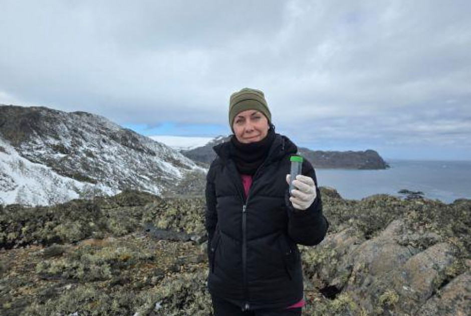 &Omicron;&iota; &mu;ύ&kappa;&eta;&tau;&epsilon;&sigmaf; &tau;&eta;&sigmaf; &Alpha;&nu;&tau;&alpha;&rho;&kappa;&tau;&iota;&kappa;ή&sigmaf; &pi;&alpha;&rho;ά&gamma;&omicron;&upsilon;&nu; &epsilon;&nu;ώ&sigma;&epsilon;&iota;&sigmaf; &mu;&epsilon; &alpha;&nu;&tau;&iota;&kappa;&alpha;&rho;&kappa;&iota;&nu;&iota;&kappa;ή &delta;&rho;ά&sigma;&eta;