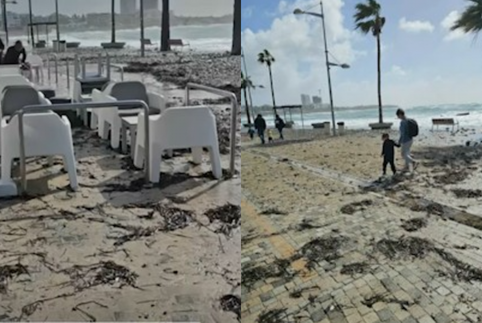 &Gamma;έ&mu;&iota;&sigma;&epsilon; &eta; &pi;&epsilon;&rho;&iota;&omicron;&chi;ή &tau;&omicron;&upsilon; &Mu;ώ&lambda;&omicron;&upsilon; &mu;&epsilon; &phi;ύ&kappa;&iota;&alpha; &kappa;&alpha;&iota; &nu;&epsilon;&rho;ό &pi;&rho;&omicron;&kappa;&alpha;&lambda;ώ&nu;&tau;&alpha;&sigmaf; &zeta;&eta;&mu;&iota;έ&sigmaf; &sigma;&tau;&iota;&sigmaf; &epsilon;&pi;&iota;&chi;&epsilon;&iota;&rho;ή&sigma;&epsilon;&iota;&sigmaf; (&Beta;&Iota;&Nu;&Tau;&Epsilon;&Omicron;)