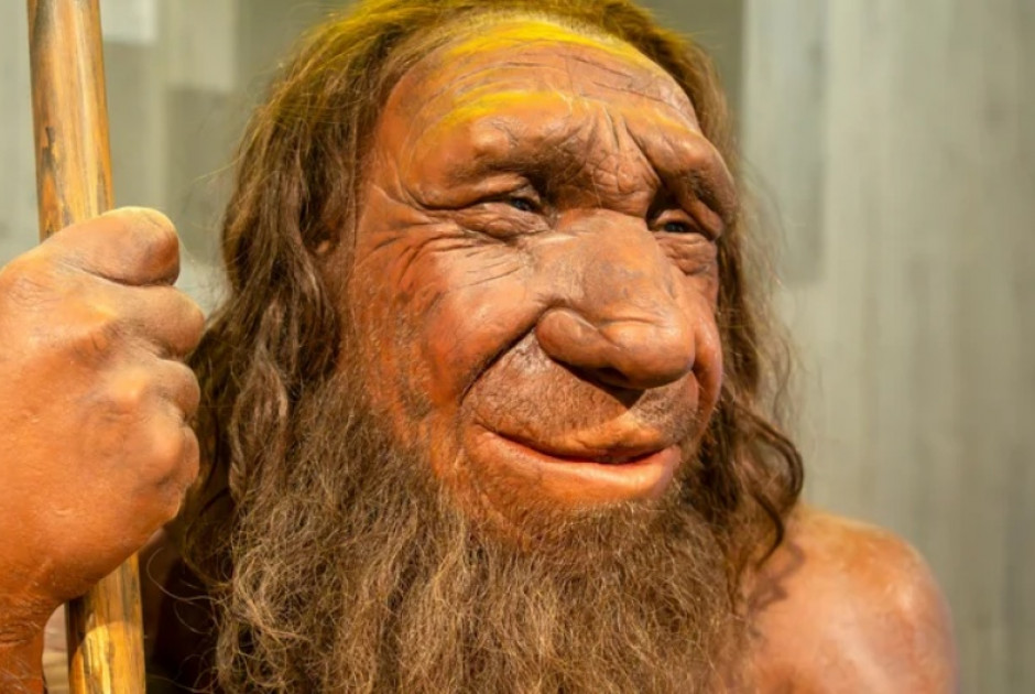 &Mu;&epsilon;&lambda;έ&tau;&eta; &Epsilon;&lambda;&lambda;&eta;&nu;ί&delta;&alpha;&sigmaf; &epsilon;&rho;&epsilon;&upsilon;&nu;ή&tau;&rho;&iota;&alpha;&sigmaf;: &Gamma;&epsilon;&nu;&epsilon;&tau;&iota;&kappa;ή &omicron;&mu;&omicron;&iota;&omicron;&mu;&omicron;&rho;&phi;ί&alpha; &tau;&omega;&nu; ύ&sigma;&tau;&epsilon;&rho;&omega;&nu; &Nu;&epsilon;ά&nu;&tau;&epsilon;&rho;&tau;&alpha;&lambda; &sigma;&upsilon;&nu;&delta;έ&epsilon;&tau;&alpha;&iota; &mu;&epsilon; &tau;&eta;&nu; &epsilon;&xi;&alpha;&phi;ά&nu;&iota;&sigma;ή