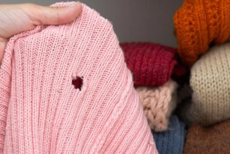 &Gamma;έ&mu;&iota;&sigma;&epsilon; &eta; &nu;&tau;&omicron;&upsilon;&lambda;ά&pi;&alpha; &sigma;&alpha;&sigmaf; &sigma;&kappa;ό&rho;&omicron;&upsilon;&sigmaf;; &Alpha;&upsilon;&tau;ά &epsilon;ί&nu;&alpha;&iota; &tau;&alpha; &lambda;ά&theta;&eta; &pi;&omicron;&upsilon; &kappa;ά&nu;&epsilon;&tau;&epsilon; &ndash; &Delta;&epsilon;ί&tau;&epsilon; &pi;ώ&sigmaf; &nu;&alpha; &tau;&omicron;&upsilon;&sigmaf; &delta;&iota;ώ&xi;&epsilon;&tau;&epsilon;