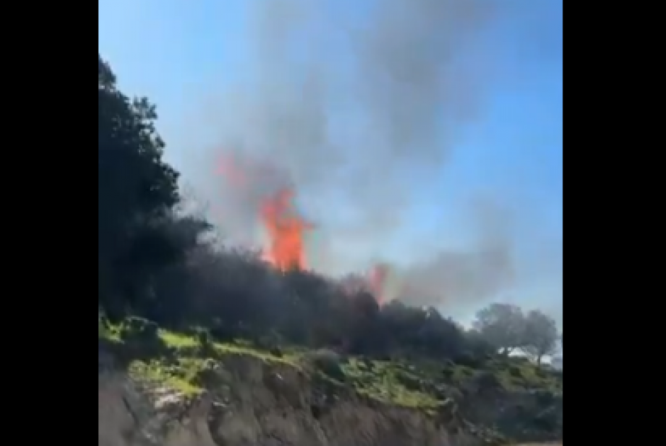 &Kappa;&alpha;&iota; &delta;&epsilon;ύ&tau;&epsilon;&rho;&eta; &pi;&upsilon;&rho;&kappa;&alpha;&gamma;&iota;ά &sigma;&tau;&eta;&nu; &omicron;&rho;&epsilon;&iota;&nu;ή &Lambda;&epsilon;&mu;&epsilon;&sigma;ό