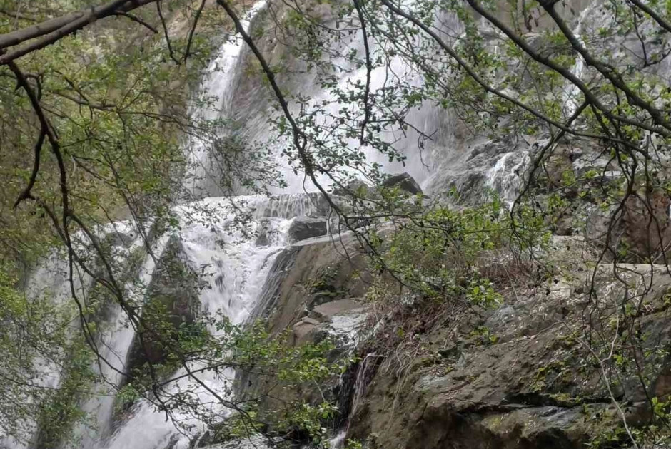 &Sigma;&tau;&omicron; 27% &eta; &sigma;&upsilon;&nu;&omicron;&lambda;&iota;&kappa;ή &pi;&lambda;&eta;&rho;ό&tau;&eta;&tau;&alpha; &tau;&omega;&nu; &phi;&rho;&alpha;&gamma;&mu;ά&tau;&omega;&nu; (&Beta;&Iota;&Nu;&Tau;&Epsilon;&Omicron;)