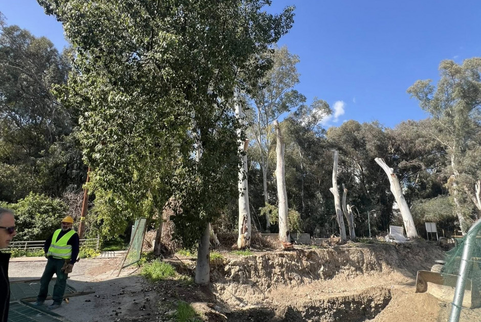 &Omicron;&iota;&kappa;&omicron;&lambda;ό&gamma;&omicron;&iota;: &Eta; &kappa;&alpha;&tau;&alpha;&sigma;&tau;&rho;&omicron;&phi;ή &sigma;&upsilon;&nu;&epsilon;&chi;ί&zeta;&epsilon;&tau;&alpha;&iota; &sigma;&tau;&omicron; &delta;ά&sigma;&omicron;&sigmaf; &Pi;&epsilon;&delta;&iota;&alpha;ί&omicron;&upsilon;