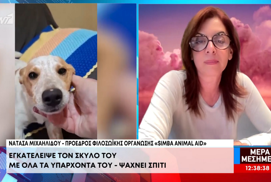 &Gamma;&rho;&omicron;&theta;&iota;ά &sigma;&tau;&omicron; &sigma;&tau;&omicron;&mu;ά&chi;&iota;: &Epsilon;&gamma;&kappa;&alpha;&tau;έ&lambda;&epsilon;&iota;&psi;&epsilon; &tau;&omicron;&nu; &sigma;&kappa;ύ&lambda;&omicron; &tau;&omicron;&upsilon; &sigma;&epsilon; &sigma;&tau;ά&sigma;&eta; &lambda;&epsilon;&omega;&phi;&omicron;&rho;&epsilon;ί&omicron;&upsilon; &sigma;&tau;&eta; &Lambda;&epsilon;&mu;&epsilon;&sigma;ό &kappa;&alpha;&iota;... έ&phi;&upsilon;&gamma;&epsilon; (&Beta;&Iota;&Nu;&Tau;&Epsilon;&Omicron;)