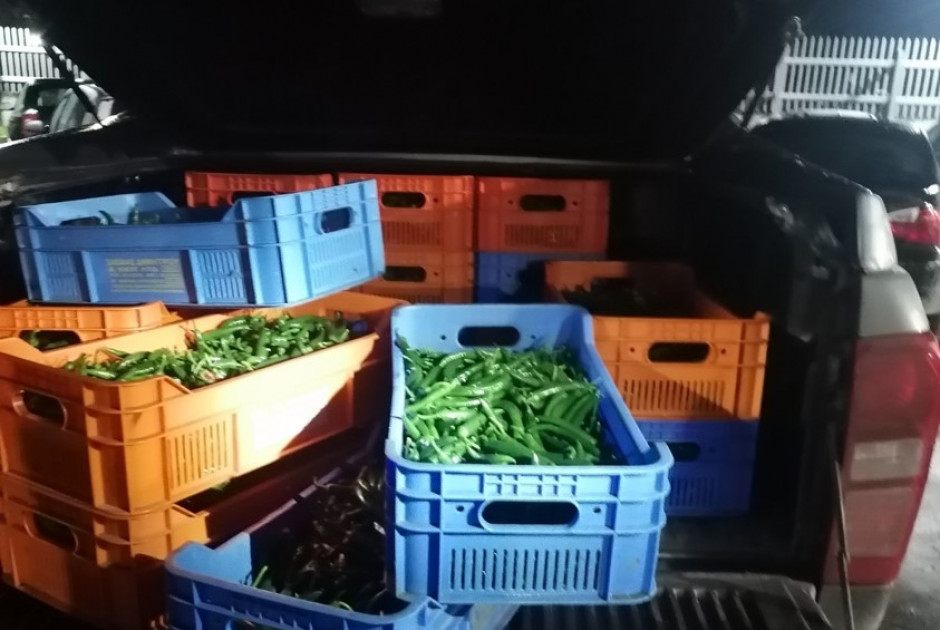 &Pi;&rho;ά&sigma;&iota;&nu;&eta; &Gamma;&rho;&alpha;&mu;&mu;ή: &Sigma;ύ&lambda;&lambda;&eta;&psi;&eta; 30&chi;&rho;&omicron;&nu;&omicron;&upsilon; &mu;&epsilon;... 100 &kappa;&iota;&lambda;ά &pi;&iota;&pi;&epsilon;&rho;&iota;έ&sigmaf;