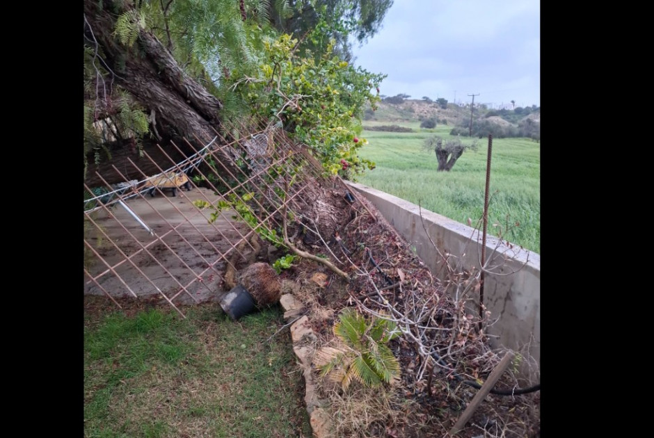 Ισχυροί άνεμοι σαρώνουν την Κύπρο: Πτώσεις δέντρων και τσίγκων - Δεκάδες κλήσεις στην Πυροσβεστική