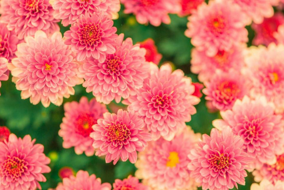 Εορτολόγιο: Ποιοι γιορτάζουν σήμερα, 2 Απριλίου