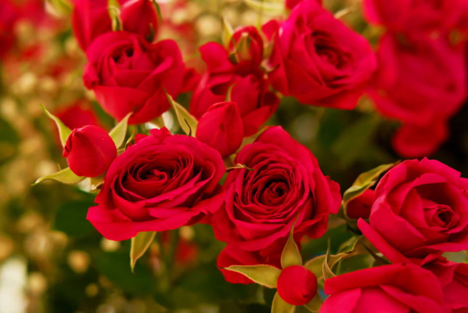 &Epsilon;&omicron;&rho;&tau;&omicron;&lambda;ό&gamma;&iota;&omicron;: &Pi;&omicron;&iota;&omicron;&iota; &gamma;&iota;&omicron;&rho;&tau;ά&zeta;&omicron;&upsilon;&nu; &sigma;ή&mu;&epsilon;&rho;&alpha;, 13 &Mu;&alpha;&rho;&tau;ί&omicron;&upsilon;