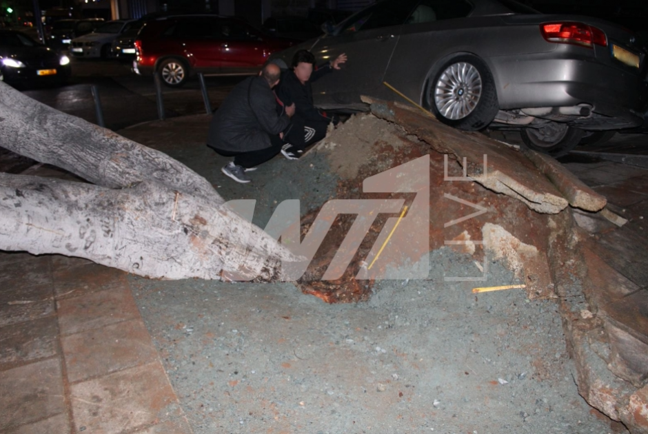 Δέντρο «έκοψε» τη λεωφόρο Ομονοίας στη Λεμεσό - Έκλεισαν και οι δύο λωρίδες (ΦΩΤΟΣ)