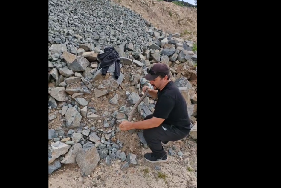 «Ετοιμάστε σιταροπούλες»: Σε νέα περιπέτεια ο Αγγελή – Δείτε που βρήκε φίνα (ΒΙΝΤΕΟ)