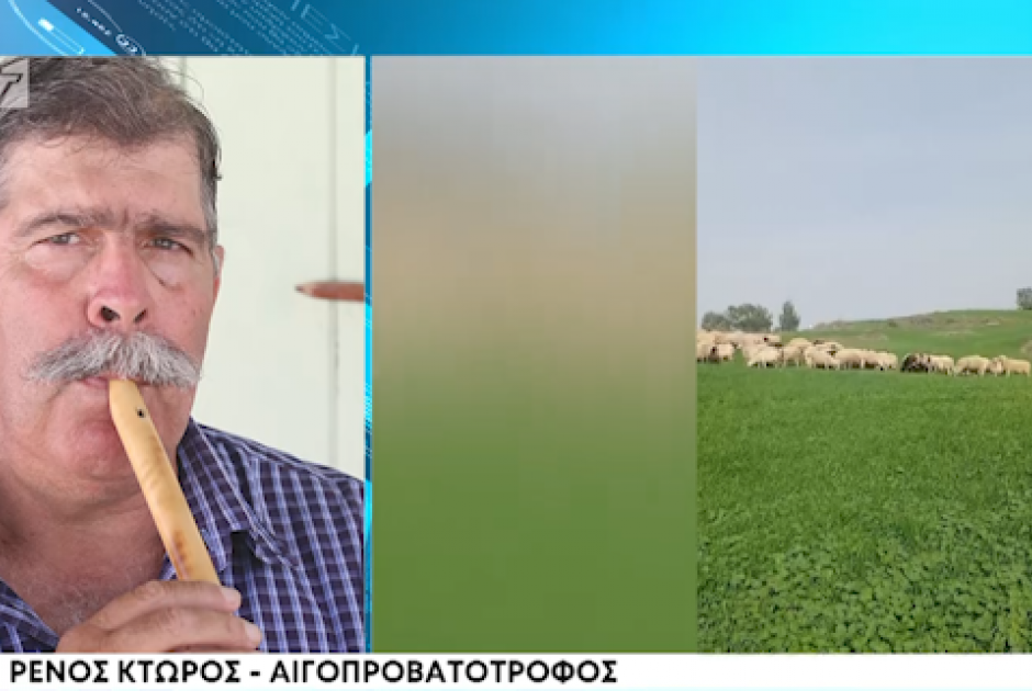 &Kappa;&rho;&alpha;&upsilon;&gamma;ή &alpha;&pi;ό&gamma;&nu;&omega;&sigma;&eta;&sigmaf; &alpha;&pi;ό &alpha;&iota;&gamma;&omicron;&pi;&rho;&omicron;&beta;&alpha;&tau;&omicron;&tau;&rho;ό&phi;&omicron; &pi;&omicron;&upsilon; έ&chi;&epsilon;&iota; &sigma;&pi;ά&nu;&iota;&alpha; &kappa;&upsilon;&pi;&rho;&iota;&alpha;&kappa;ή &phi;&upsilon;&lambda;ή &ndash; &laquo;&Tau;&omicron;&upsilon;&sigmaf; έ&chi;&omega; &alpha;&delta;&upsilon;&nu;&alpha;&mu;ί&alpha; &ndash; &Epsilon;ί&mu;&alpha;&iota; 62